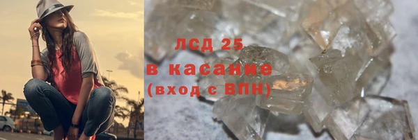 ГАЛЛЮЦИНОГЕННЫЕ ГРИБЫ Лагань