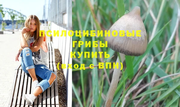 PSILOCYBIN Балабаново