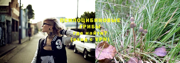 spice Баксан
