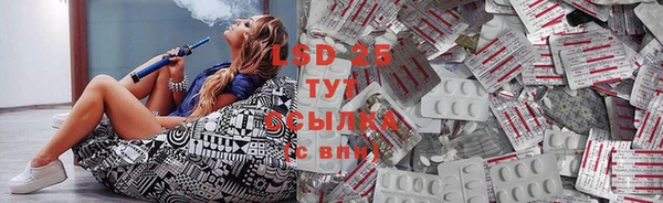 PSILOCYBIN Балабаново