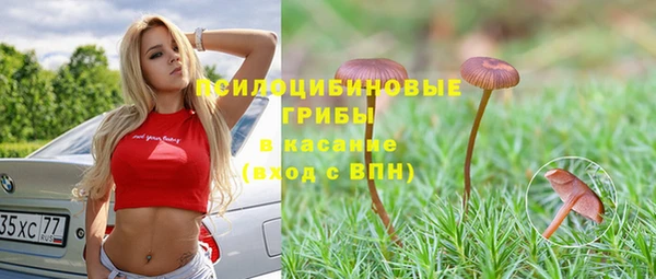 PSILOCYBIN Балабаново