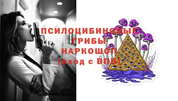 PSILOCYBIN Балабаново