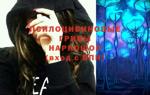 spice Баксан