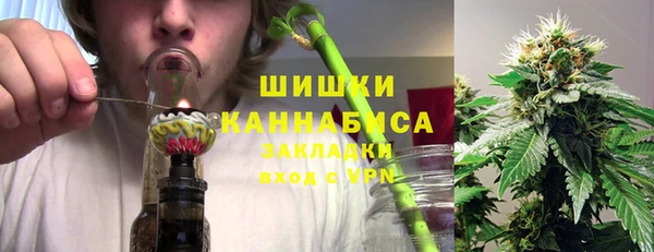 PSILOCYBIN Балабаново