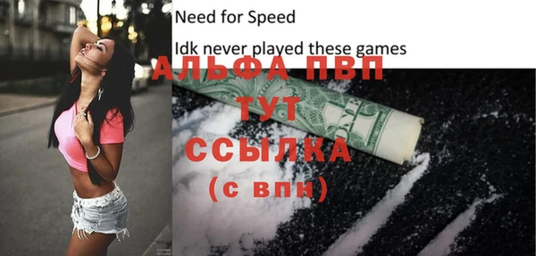 PSILOCYBIN Балабаново